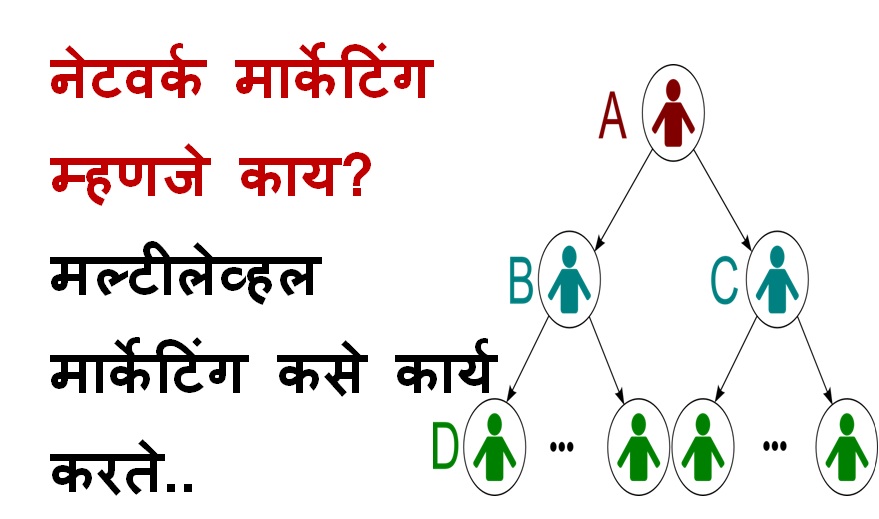 Network 2